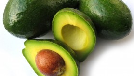 avocadi