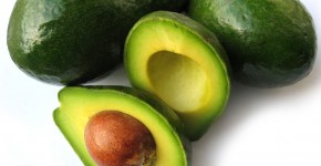 avocadi