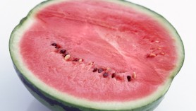 cocomeri