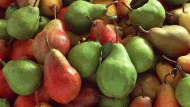 pere
