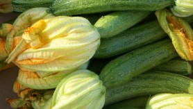 zucchine