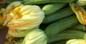 zucchine