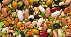 legumes and cereals